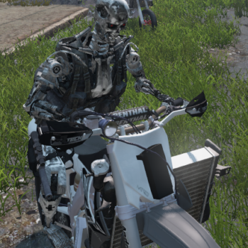 Random Screen Shots From DayZ