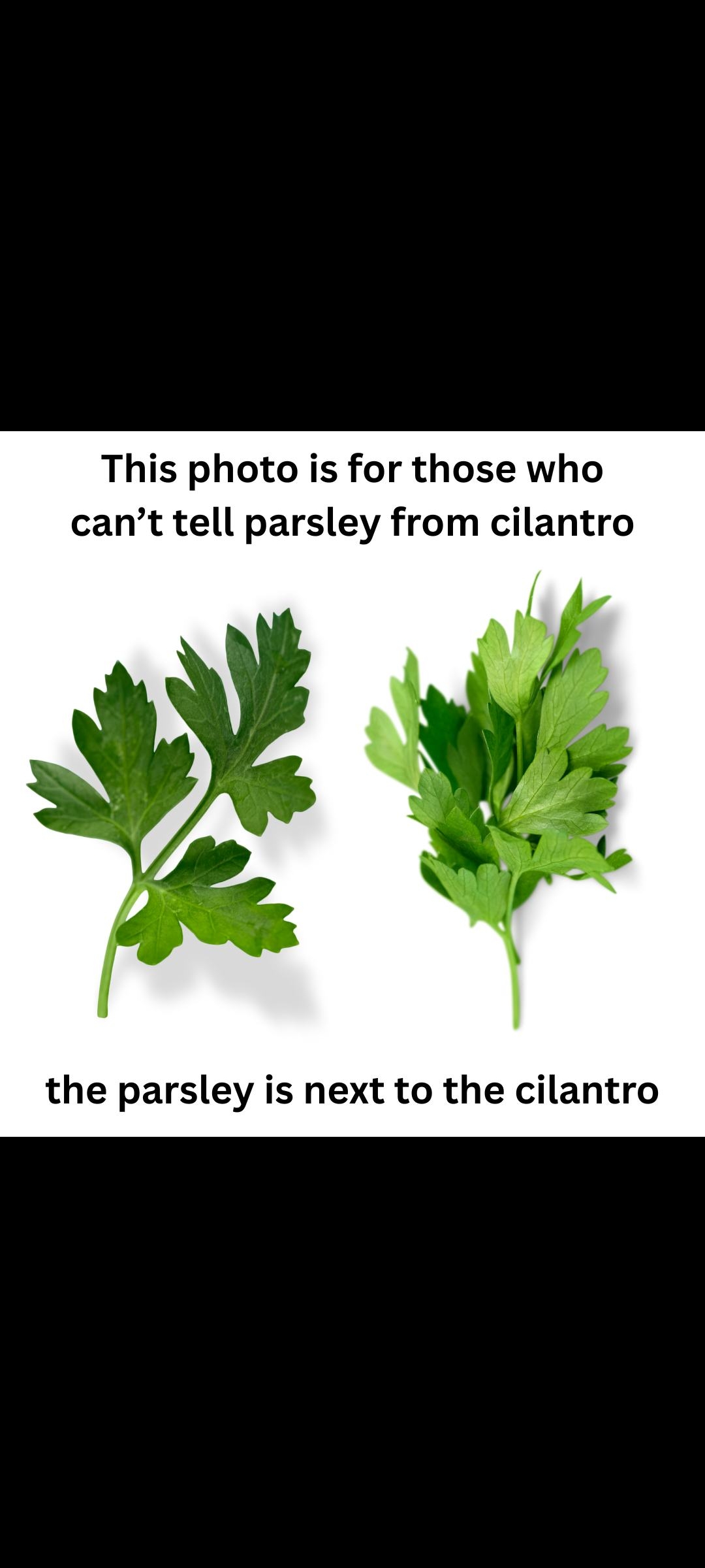 uploaded image