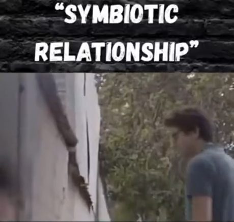 vid 4 1773708478 947 — video thumbnail