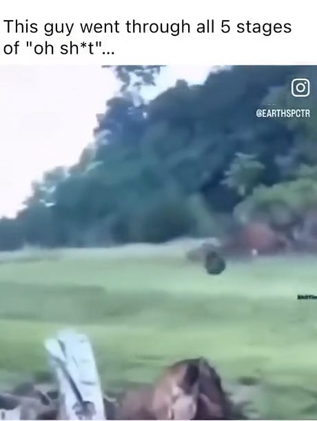 vid 4 1774381110 442 — video thumbnail