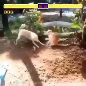 vid 4 1776471156 118 — video thumbnail