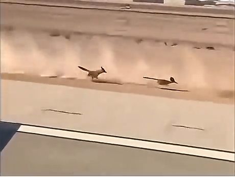 vid 4 1776743363 251 — video thumbnail