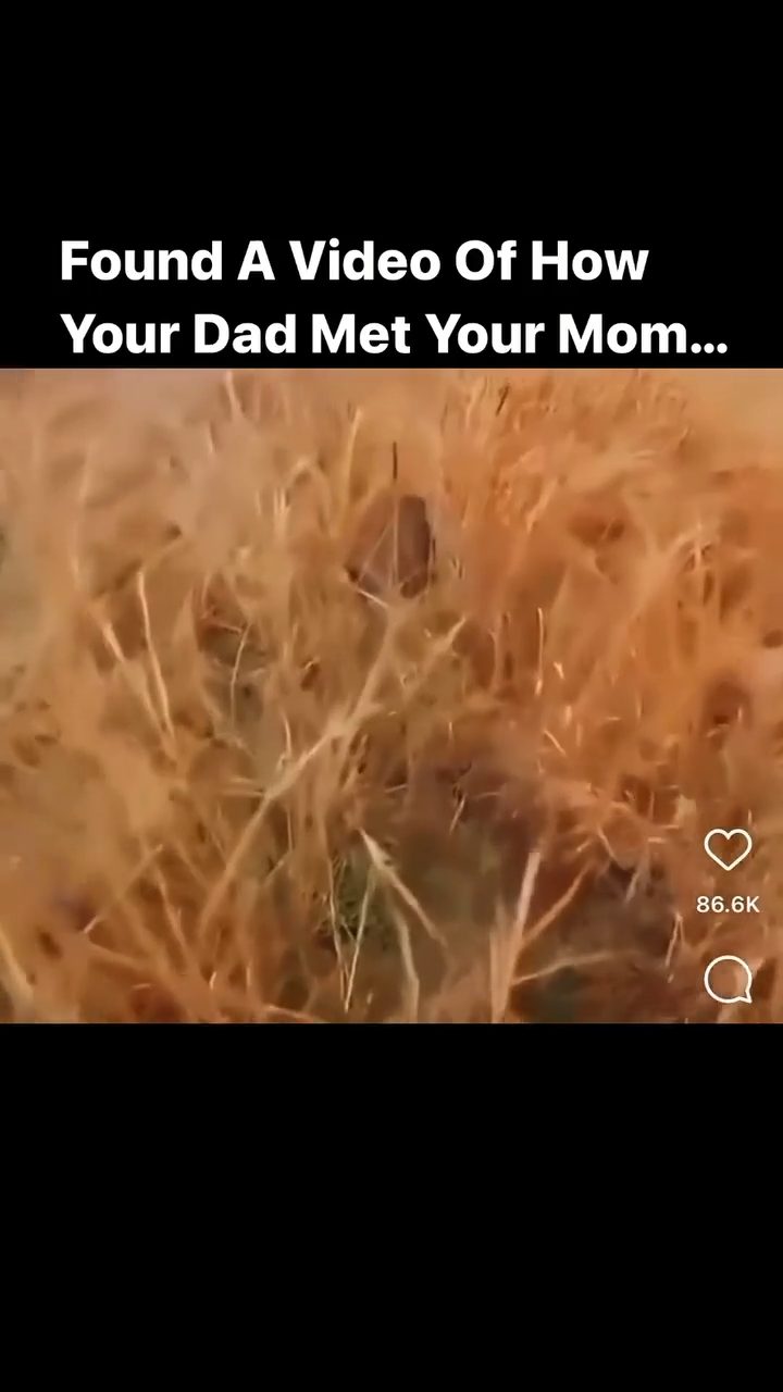vid 4 1778431814 875 — video thumbnail