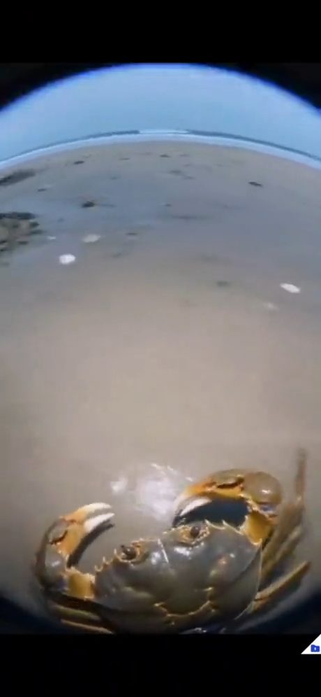 vid 4 1779052032 524 — video thumbnail
