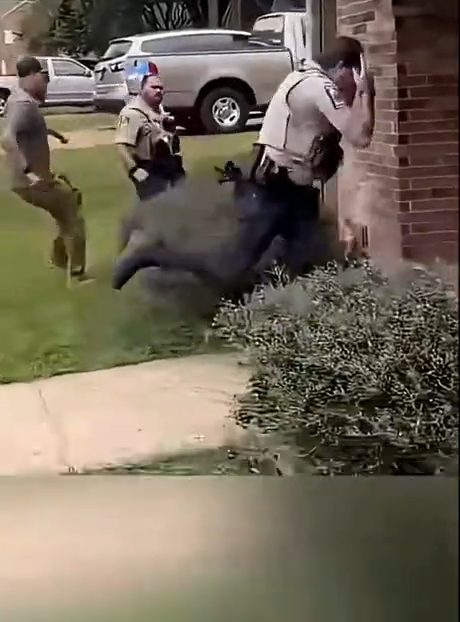 vid 4 1781902120 274 — video thumbnail