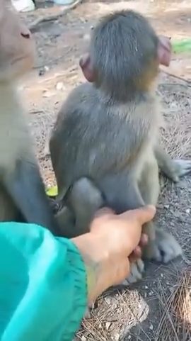 vid 2 1772989140 880 — video thumbnail