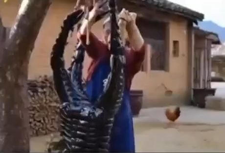 vid 4 1775350469 567 — video thumbnail
