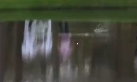 vid 4 1775417183 838 — video thumbnail