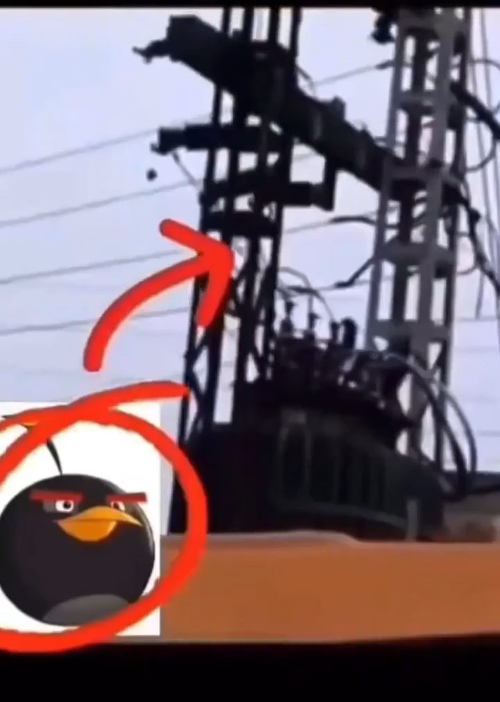 vid 2 1778423722 521 — video thumbnail