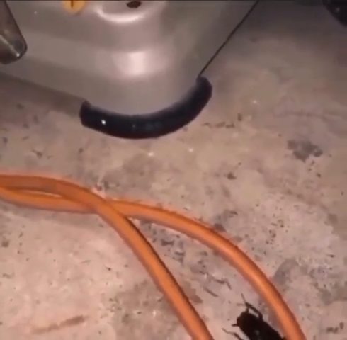 vid 2 1780089922 277 — video thumbnail