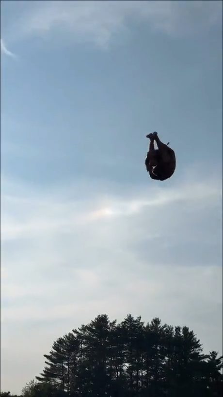 vid 4 1783538260 400 — video thumbnail
